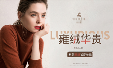 （女裝案例）半年銷售額1588萬(wàn)，總廣告投入只占8%